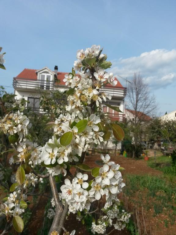 Apartment Ruzica Sukošan Buitenkant foto
